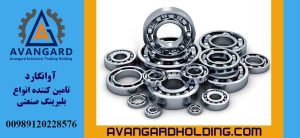 Sənaye rulmanı Avangard
